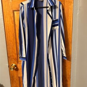 Blue and White Striped Button-Up Dress